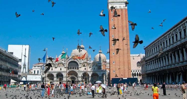 Der Markusplatz in Venedig mit dem hoch aufragenden Campanile, dem Markusdom und Taubenschwärmen an einem sonnigen Tag