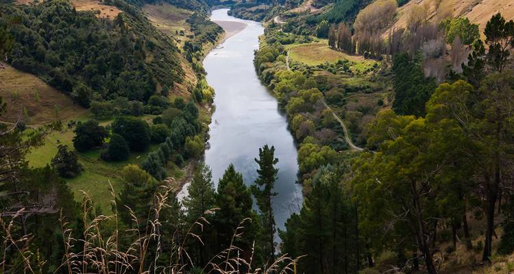 Un fleuve sinueux s'écoule à travers une vallée verdoyante de forêts mixtes et de terres agricoles, vue depuis une haute crête.