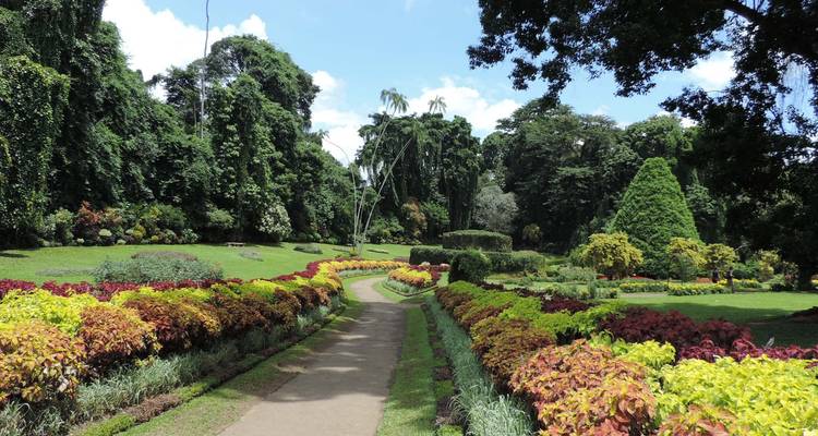 Quelque chose de différent : le Sri Lanka en 09 jours [Confort « Hiver »]. - showlanka tours  4