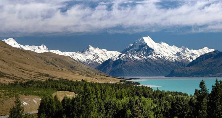 Le Mont Cook enneigé s'élève au-dessus du lac turquoise Pukaki avec des touffes d'herbe dorées et une forêt verte en premier plan.