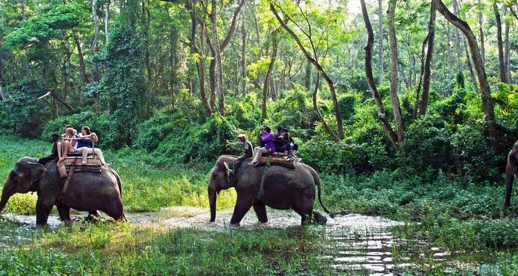 Circuito al Parque Nacional de Chitwan Nepal - The Tour Trek and Travel Nepal Pvt. Ltd 3