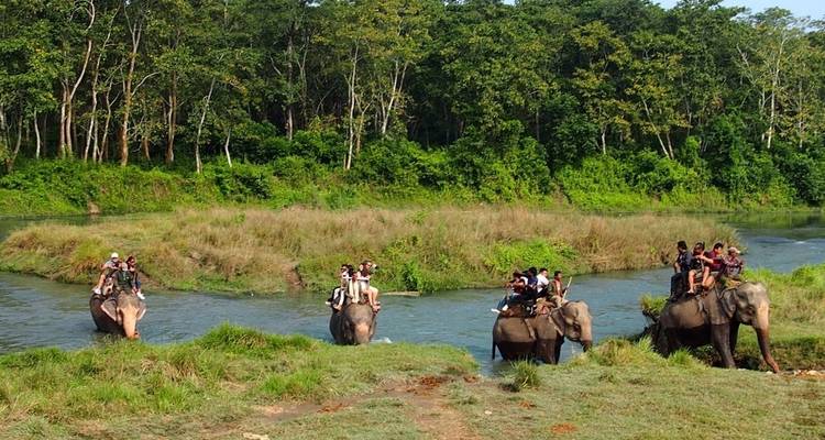 Circuito al Parque Nacional de Chitwan Nepal - The Tour Trek and Travel Nepal Pvt. Ltd 6
