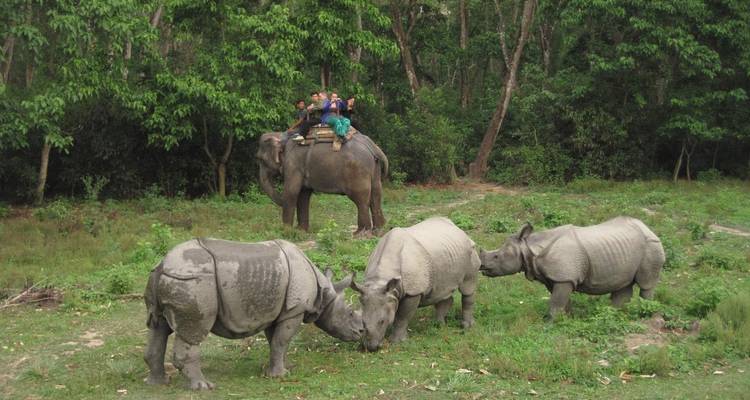 Circuito al Parque Nacional de Chitwan Nepal - The Tour Trek and Travel Nepal Pvt. Ltd 2