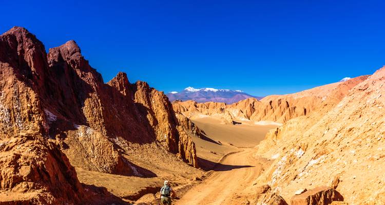 Cyclisme au Chili et en Argentine : d'Atacama à Salta - Exodus Adventure Travels 6