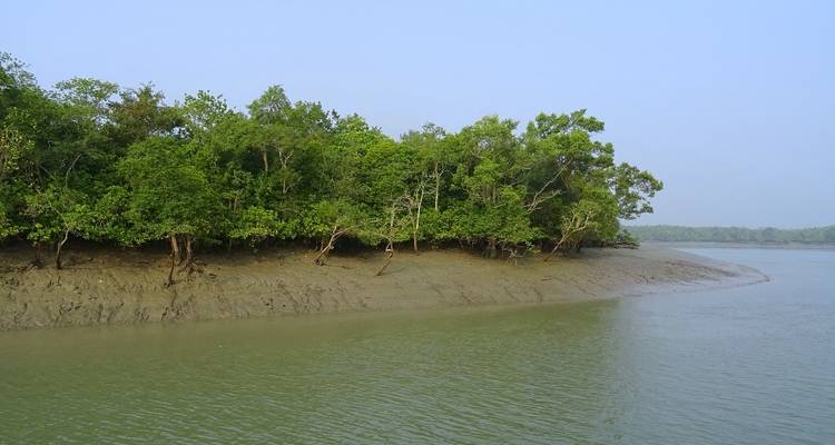 Trésors du Bangladesh - Crooked Compass 4