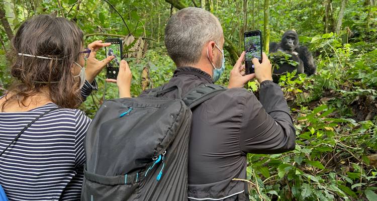 4 Day Rwanda & Uganda Gorilla Trekking Safari via Rwanda - Safari 2 Gorilla Tours (U) Ltd 10