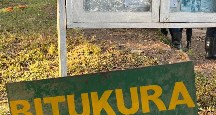4 Day Rwanda & Uganda Gorilla Trekking Safari via Rwanda - Safari 2 Gorilla Tours (U) Ltd 9