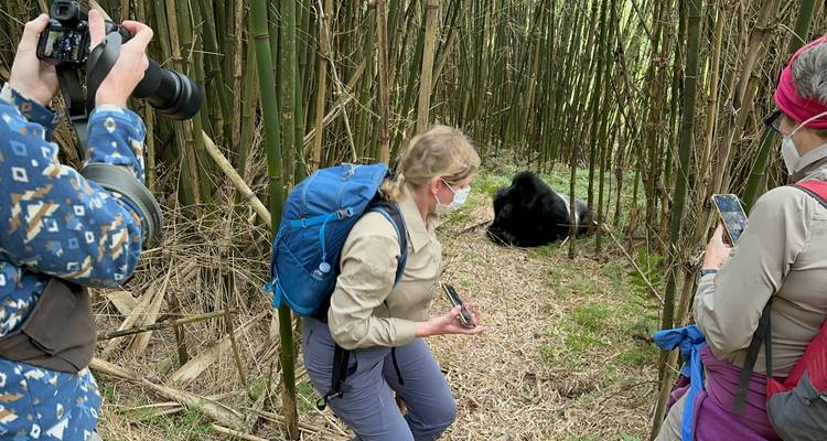 3 Day Gorilla & Golden Monkey Trekking Trip, Volcanoes NP - Safari 2 Gorilla Tours (U) Ltd 6