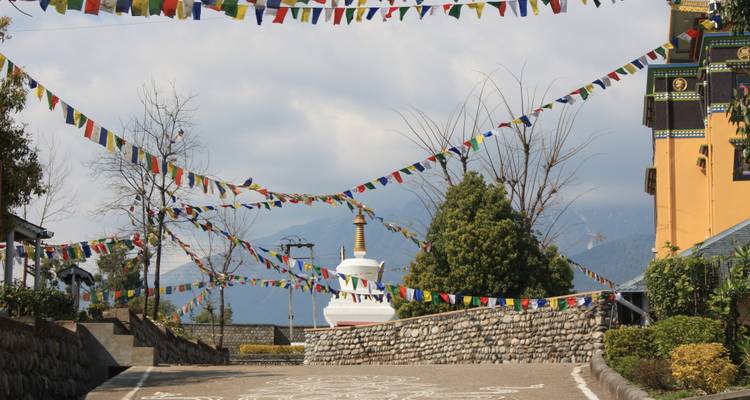 6 Day Walks in Kangra Hills - Shimla Walks 2
