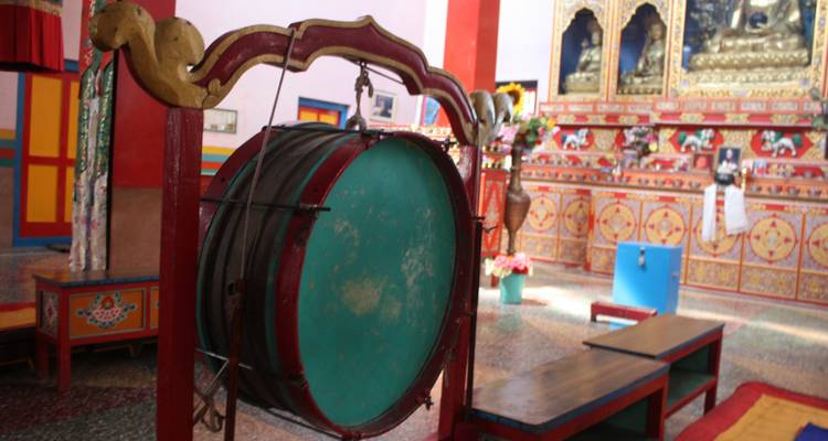6 Day Walks in Kangra Hills - Shimla Walks 3