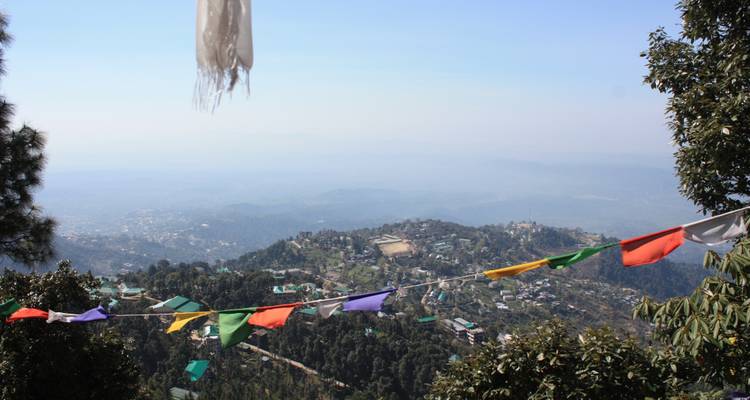 6 Day Walks in Kangra Hills - Shimla Walks 8