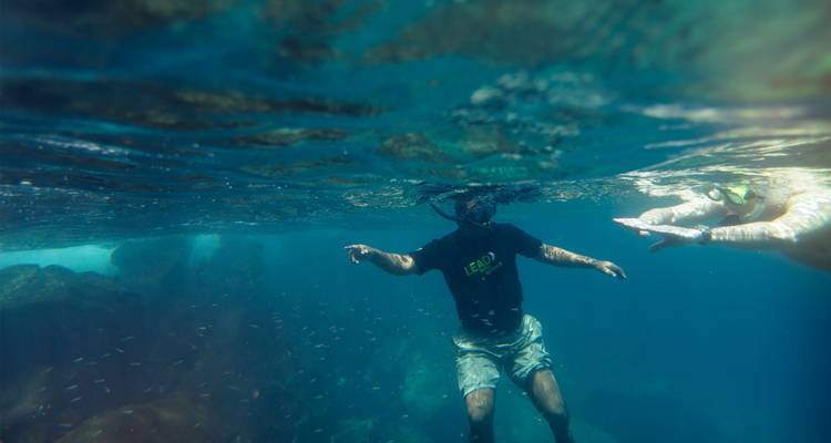Buceadores de superficie deslizándose bajo el agua sobre un fondo marino rocoso, rodeados de pececillos.