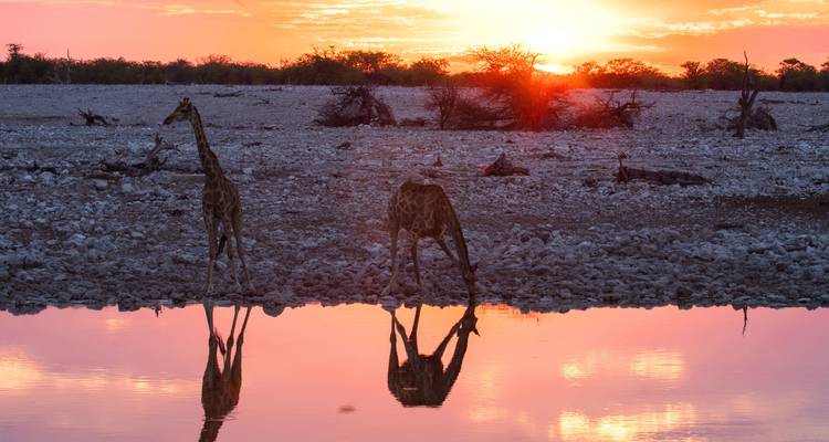 Lo mejor de Kenia y Tanzania - 12 días - Africa Venture Safaris 6