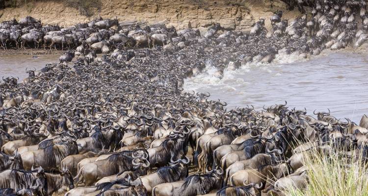 5 Days Marangu Route on Kilimanjaro (Coca- Cola route) - Exodus African Safari 3