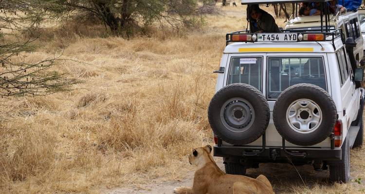 5 Days Marangu Route on Kilimanjaro (Coca- Cola route) - Exodus African Safari 2