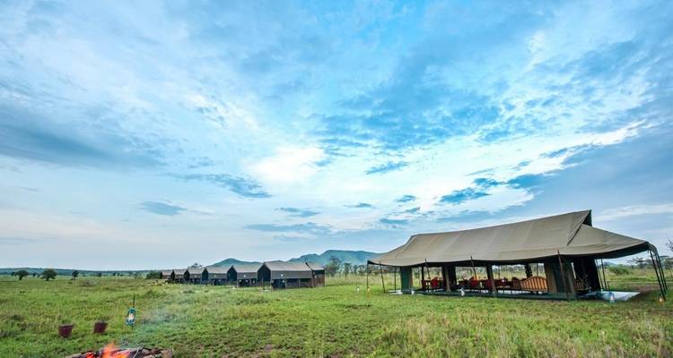 7 jours d'aventure épique dans le safari de migration du Serengeti - Exodus African Safari 3