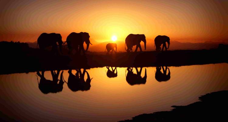 7 jours d'aventure épique dans le safari de migration du Serengeti - Exodus African Safari 4