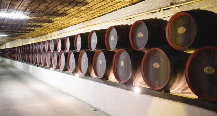 Des fûts de vin alignés à l'intérieur d'une cave de vinerie.