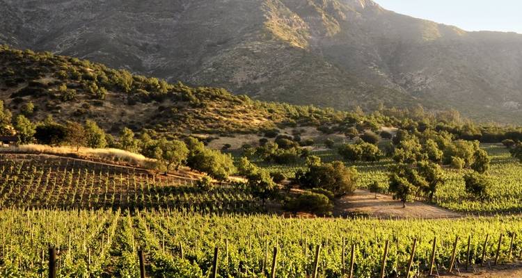 Santiago, Maipo Valley and Valparaiso (with wine tasting) - Say Hueque Argentina & Chile Journeys 6