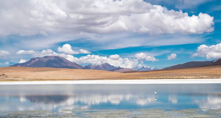 Chili, lacs de Patagonie et désert d'Atacama - Say Hueque Argentina & Chile Journeys 6