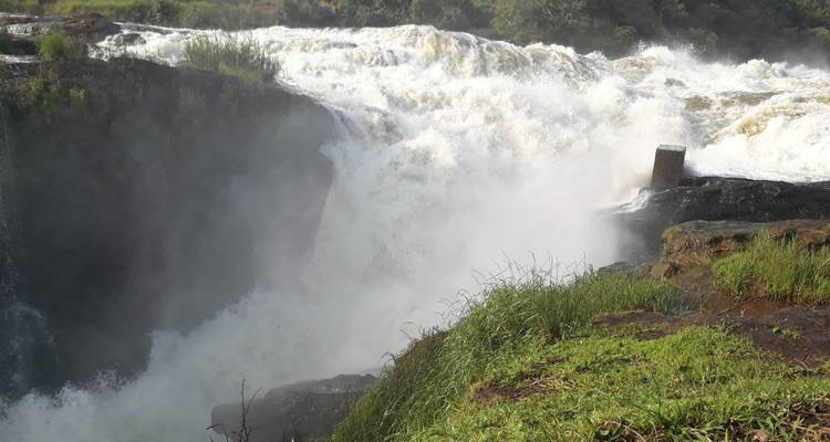 3 jours dans le parc national de Murchison falls - Inspire African Safaris 10