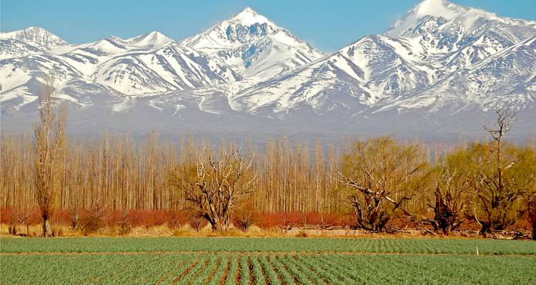 Vins du Chili et d'Argentine - pour les gourmands ! - Say Hueque Argentina & Chile Journeys 4