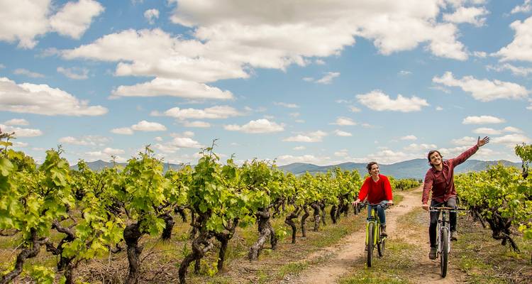 Vins du Chili et d'Argentine - pour les gourmands ! - Say Hueque Argentina & Chile Journeys 3