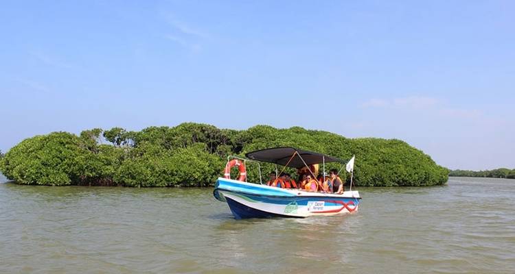 Aventure tropicale au Sri Lanka - Look Lanka Tours 2