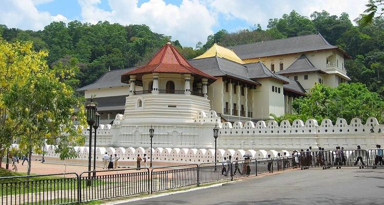 Aventure tropicale au Sri Lanka - Look Lanka Tours 4