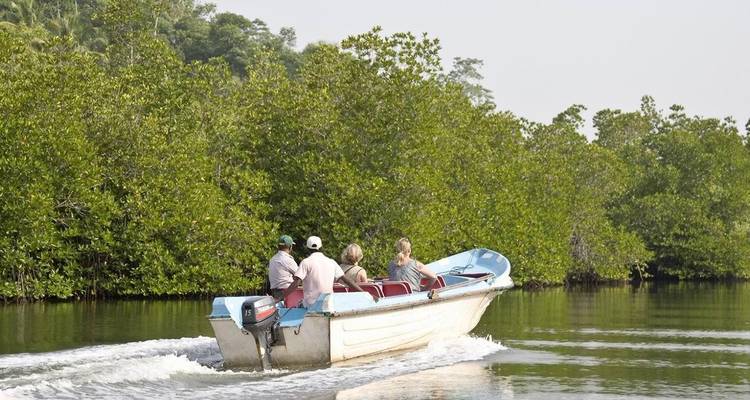 Aventure tropicale au Sri Lanka - Look Lanka Tours 8