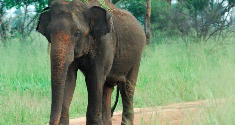 Experience the Diverse South - Aitken Spence Travel 4