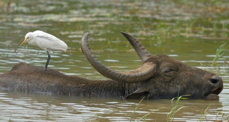 Experience the Diverse South - Aitken Spence Travel 2