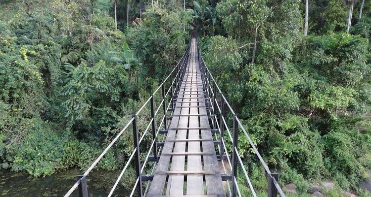 El verde vivo de Sri Lanka - Aitken Spence Travel 8