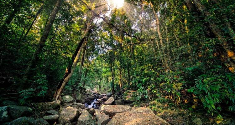 El verde vivo de Sri Lanka - Aitken Spence Travel 2