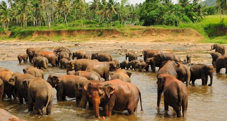 Circuito cultural - Aitken Spence Travel 1
