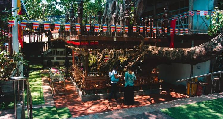Circuito cultural - Aitken Spence Travel 8