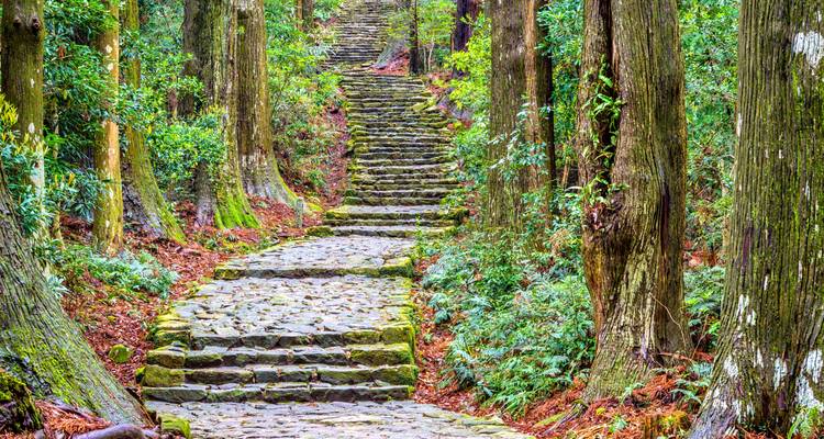 Japan's Kumano Kodo - Exodus Adventure Travels 7