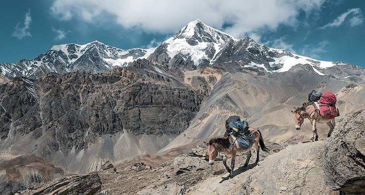 Excursión al campamento base del Everest - confort - Alpine Ramble Treks  9