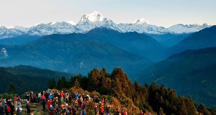 Excursionismo en campamento base del Annapurna - 8 días - Alpine Ramble Treks  8
