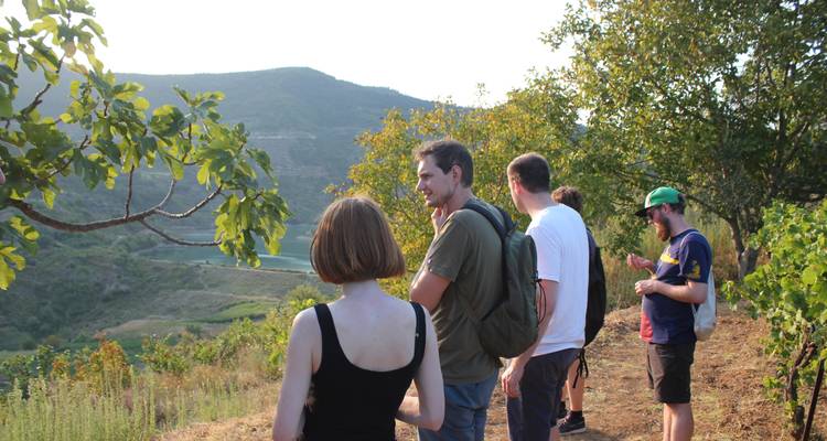 Circuit culturel et panoramique de 4 jours : Le meilleur du sud de l'Albanie | Berat Gjirokaster Butrint |Riviera - Visit Albania  7