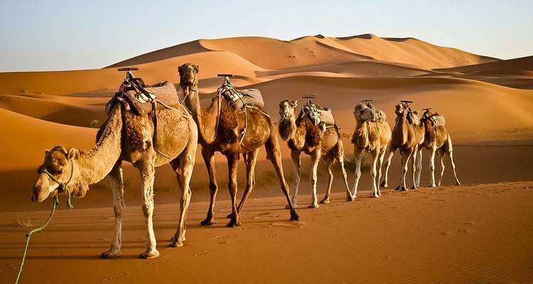 Circuito por las ciudades imperiales y el Desierto - Discover Morocco  3