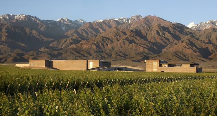 4 dias - Mendoza y los Andes - Signature DMC 2