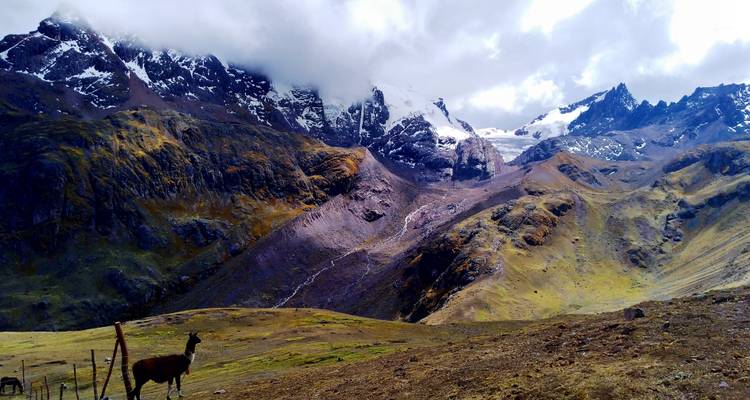 RANDONNÉE LA PLUS COURTE À LA MONTAGNE ARC-EN-CIEL (VINICUNCA) : 1 JOURNÉE COMPLÈTE D'EXCURSION PRIVÉE - Peru Trek 4 Good 1