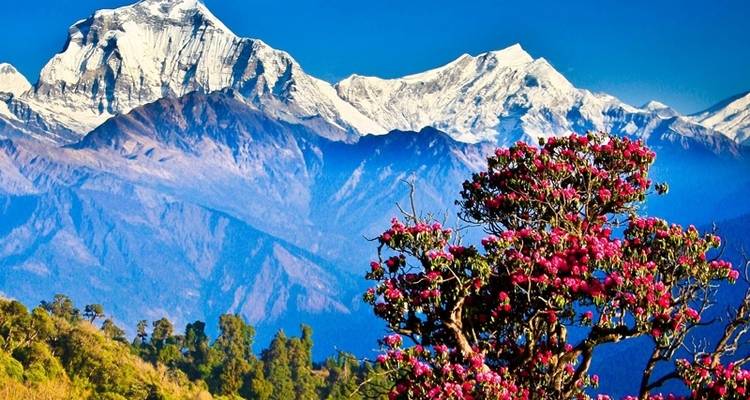8 Days Nepal Tour - Getaway Nepal Adventure Pvt. Ltd 7