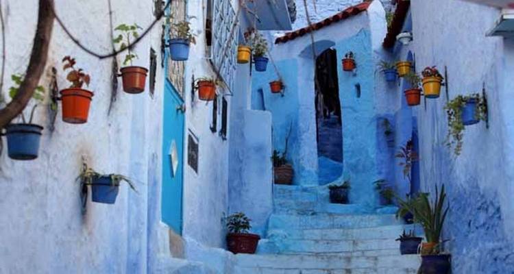 Charmante ruelle peinte en bleu à Chefchaouen avec des plantes en pot suspendues.