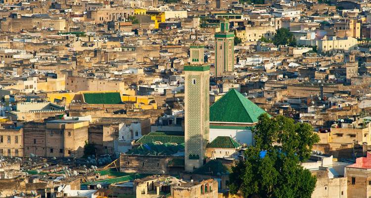 Panoramic view of a city with distinctive architecture and a mosque.