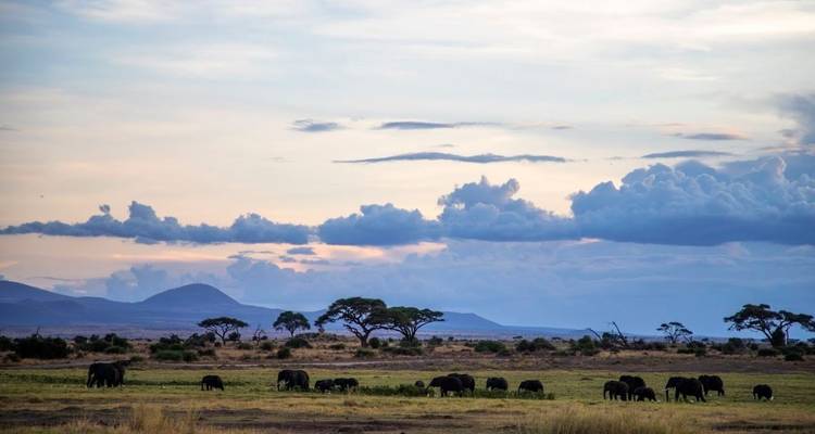 Kenia Clásica, Sopa Lodges - Tour Privado - Prime Safaris 9