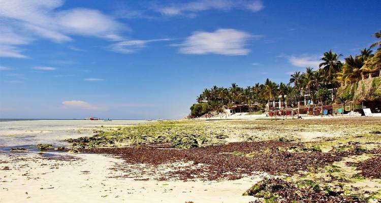 Odisea por Kenia, viaje privado - Prime Safaris 9