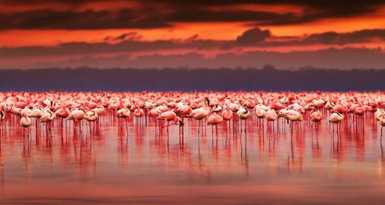 A través del Valle del Rift, Sopa Lodges - Prime Safaris 4