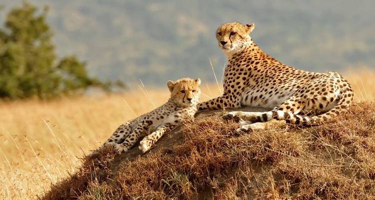 A través del Valle del Rift, Sopa Lodges - Prime Safaris 3